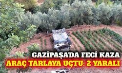 Gazipaşa'da hafif ticari araç tarlaya devrildi: 2 yaralı