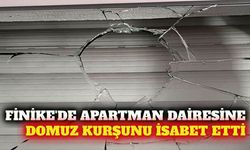 Finike'de apartman dairesine domuz kurşunu isabet etti