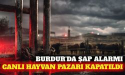 Burdur'da şap hastalığı alarmı: Hayvan pazarı kapatıldı