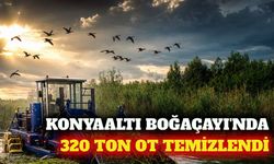 Konyaaltı Boğaçayı'nda 320 ton sucul bitki temizlendi