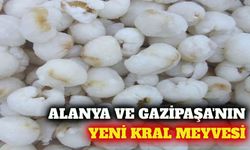 Alanya ve Gazipaşa'nın yeni tropikal ürünü liçi meyvesi