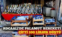 Sakarya'da palamut mesaisi: Balığın çifti 100 liraya düştü