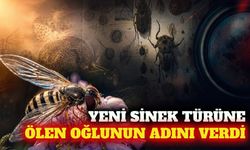 Yeni sinek türüne 28 yıl önce ölen oğlunun adını verdi