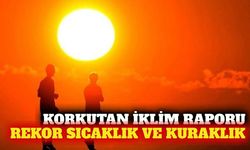 Türkiye'nin iklim raporu: 2024 en sıcak, 2025 en kurak yıl