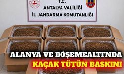 Alanya ve Döşemealtı'nda jandarmadan kaçak tütün baskını