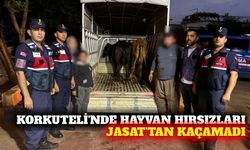 Korkuteli'nde hayvan hırsızlığı JASAT takibiyle çözüldü