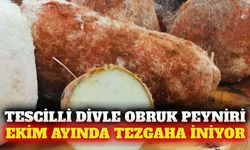 Tescilli Divle Obruk peyniri ekim ayında satışa çıkıyor