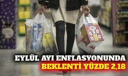 Ekonomistlerin eylül ayı enflasyon beklentisi yüzde 2,18