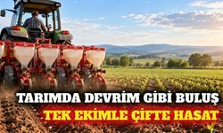Tarımda yeni buluş: Tek ekimle birden fazla hasat