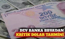 BBVA'dan enflasyon ve aylık dolar tahmini