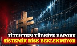 Fitch'ten Türkiye değerlendirmesi: Sistemik risk beklenmiyor