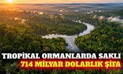 Tropikal ormanlarda 714 milyar dolarlık ilaç potansiyeli
