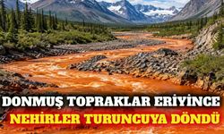 Alaska'da donmuş toprak eriyor, nehirler turuncuya dönüyor