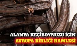 Alanya keçiboynuzu için Avrupa Birliği tescil başvurusu