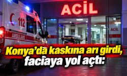 Konya’da kaskına arı girdi, faciaya yol açtı