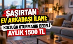 Şaşırtan ev arkadaşı ilanı: Koltuğa oturmanın bedeli aylık 1500 TL