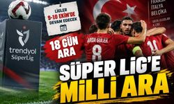 Süper Lig’e 18 günlük milli ara: Takımlar 9 Ekim’de sahalara dönecek