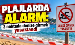 Plajlarda alarm: 3 noktada denize girmek yasaklandı