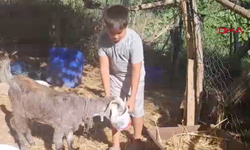 Serik’te yangının ortasında yürekleri ısıtan görüntü