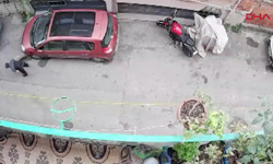 Kediyi kafasından tutup yere vurdu: O anlar kamerada
