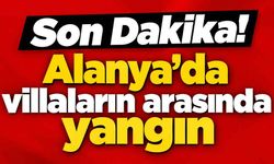 Son Dakika! Alanya'da villaların arasında yangın