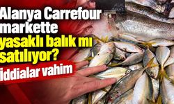 Alanya Carrefour markette yasaklı balık mı satılıyor? İddialar vahim
