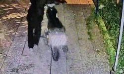 Gece yarısı motosiklet hırsızlığı: Duvarı aşıp avluya girdiler