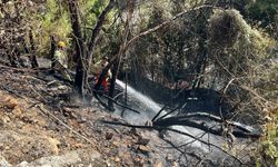 Alanya’da çalılık alanda yangın: 1 dönümlük alan zarar gördü