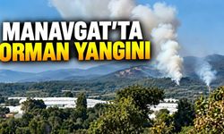 Manavgat'taki orman yangını bir saatte kontrol altına alındı