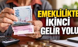 Emeklilikte İkinci Gelir İçin BES Formülü: Şartlar Neler?