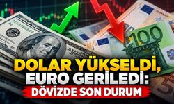 Dolar yükseldi, euro geriledi: Dövizde son durum