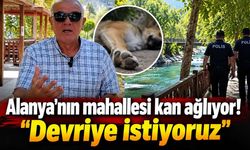 Alanya'nın o mahallesi  kan ağlıyor! "Devriye istiyoruz"