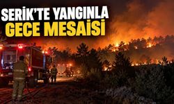 Antalya Serik'te yangın: Hava müdahalesi sona erdi, ekipler gece boyunca sahada