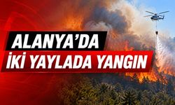 Alanya'da iki yaylada yangın: Zirai alandan ormana sıçrayan alevler kontrol altında