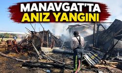 Manavgat'ta anız yangını ağıla sıçradı: 2 keçi telef oldu