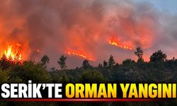 Serik'teki orman yangınında gece boyunca müdahale sürdü