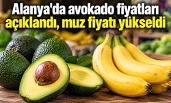 Alanya'da avokado fiyatları açıklandı, muz fiyatı yükseldi