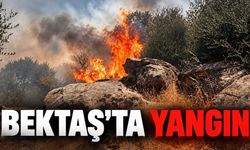 Alanya Bektaş'ta çalılık yangını: 1 dönüm alan zarar gördü