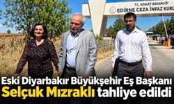 Eski Diyarbakır Büyükşehir Eş Başkanı Selçuk Mızraklı tahliye edildi