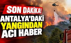 Son Dakika! Antalya'daki yangından acı haber