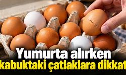 Yumurta alırken kabuktaki çatlaklara dikkat