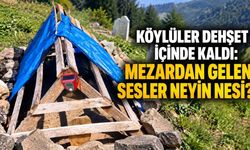 Köylüler dehşet içinde kaldı: Mezardan gelen sesler neyin nesi?