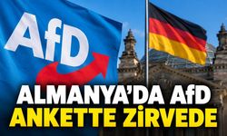 Almanya’da AfD Federal Seçim Anketinde Yüzde 29 ile İlk Sırada