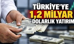 Türkiye'ye temmuzda 1,2 milyar dolarlık doğrudan yatırım geldi