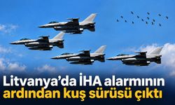 Litvanya’da İHA alarmının ardından kuş sürüsü çıktı
