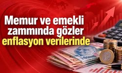 Memur ve emekli zammında gözler enflasyon verilerinde