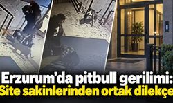 Erzurum’da pitbull gerilimi: Site sakinlerinden ortak dilekçe
