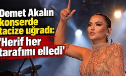 Demet Akalın konserde tacize uğradı: 'Herif her tarafımı elledi'