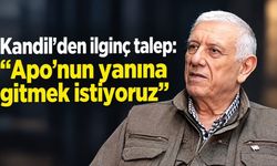 Kandil'den ilginç talep: "Apo'nun yanına gitmek istiyoruz"