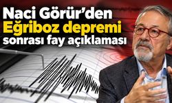 Naci Görür’den Eğriboz depremi sonrası fay açıklaması